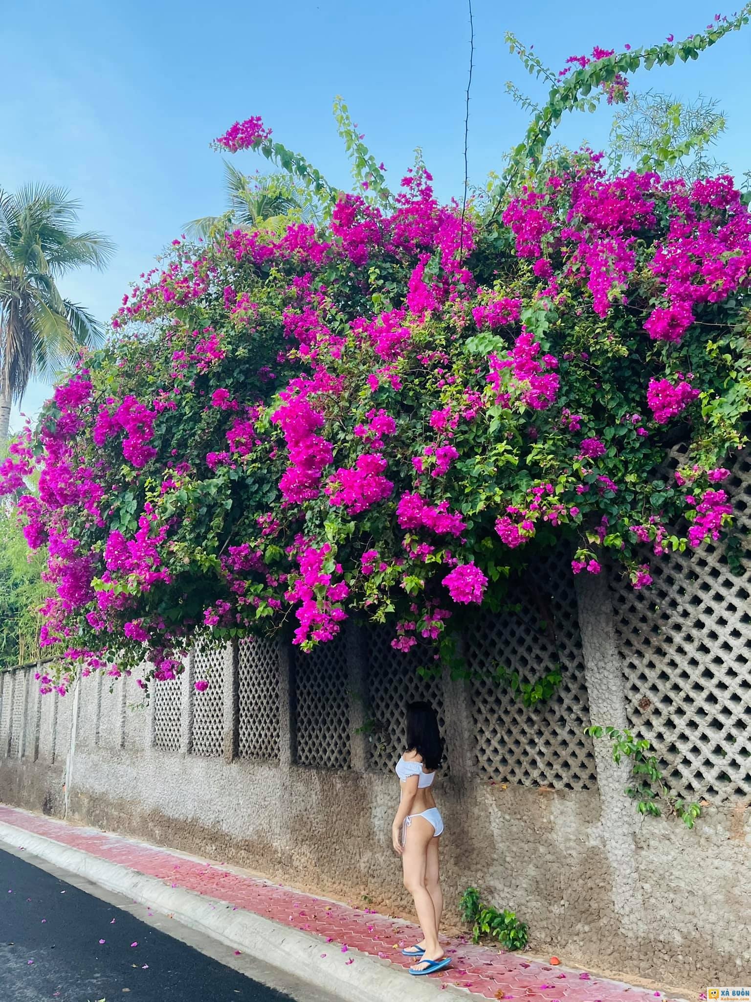 Chụp ảnh với hoa có nhất thiết phải vậy không -  haivl