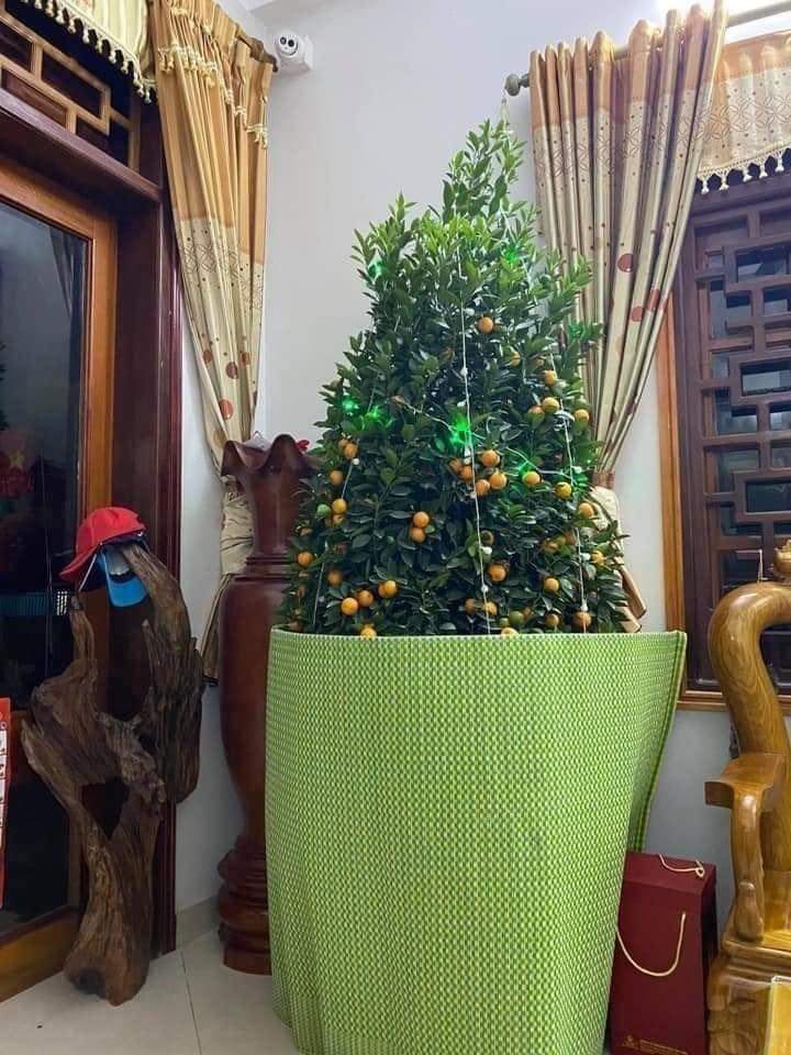 NGHE TIN CON GÁI MAI ĐƯA CHÁU VỀ CHƠI 👴🏻👵🏻

📷Phạm Hương
