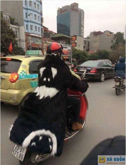  :(  đây là sơn tùng phiên bản đường phố sao  :x :x  -  haivl