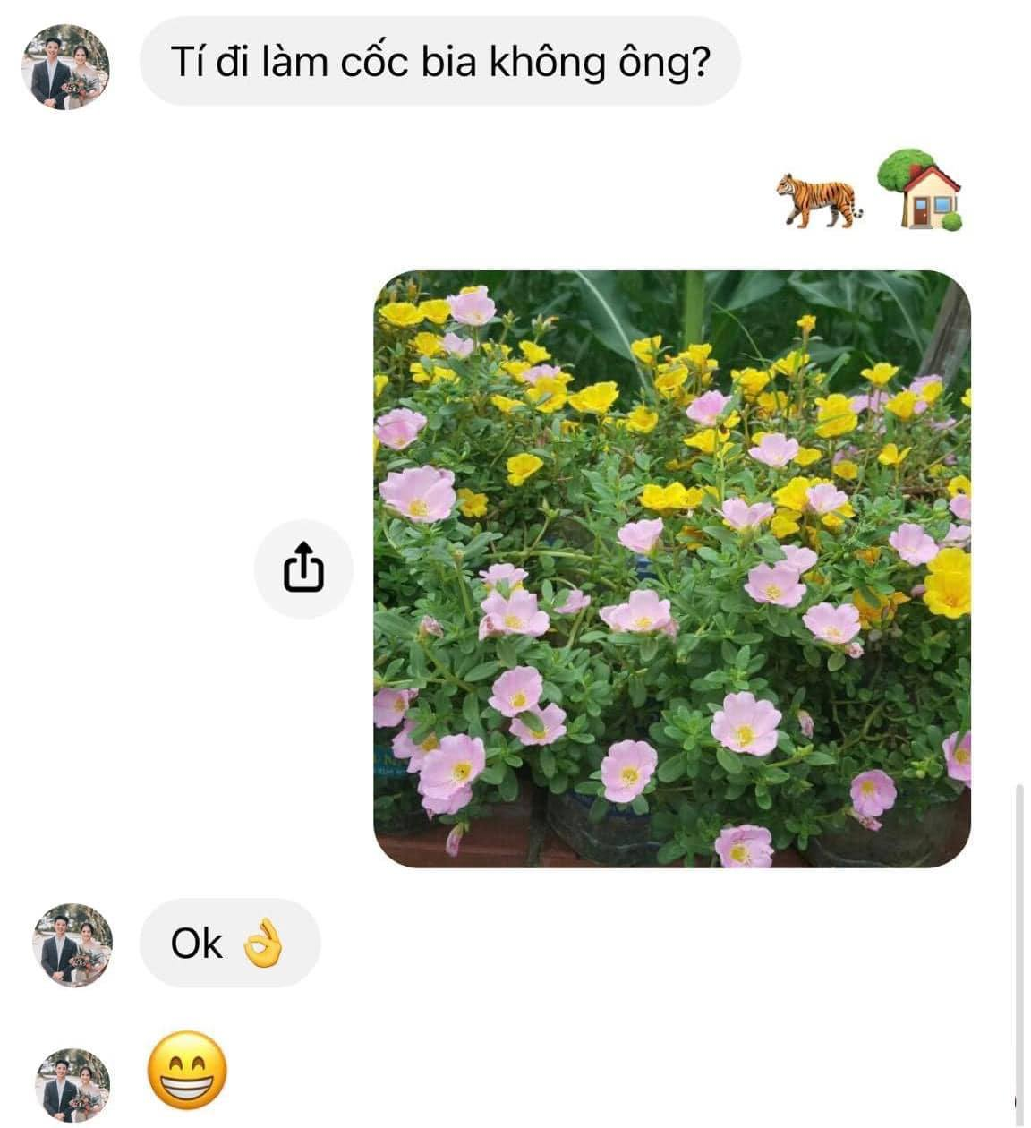 Khó thế mà các ông cũng nghĩ ra được 🤣 -  haivl | hài hước | hài vl 
