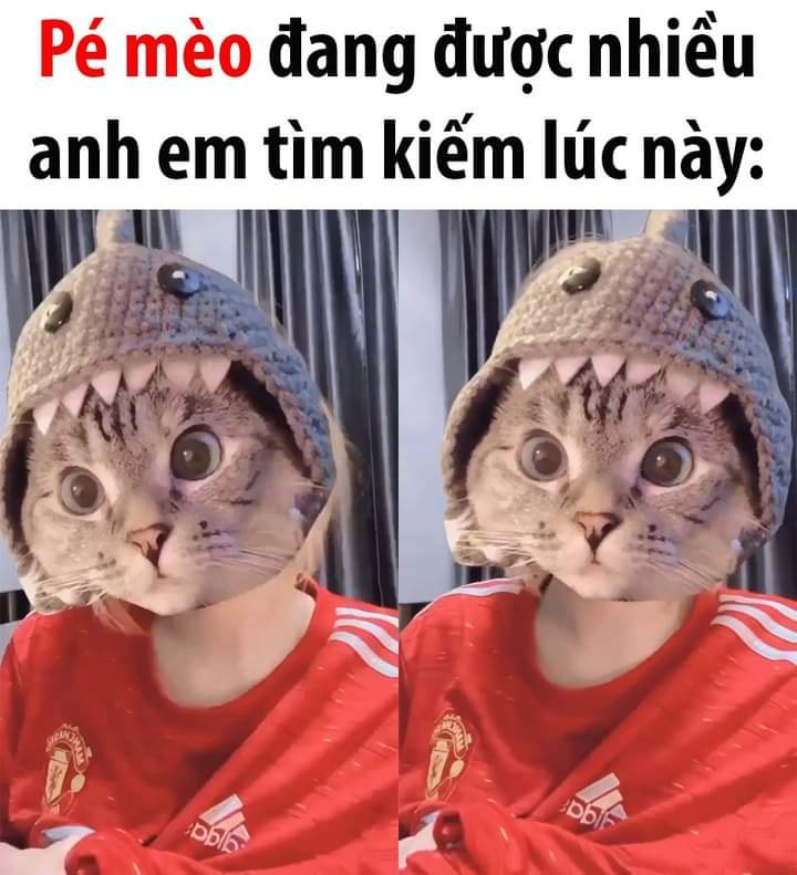 Lại gì nữa rồi🙄 -  haivl | hài hước | hài vl  