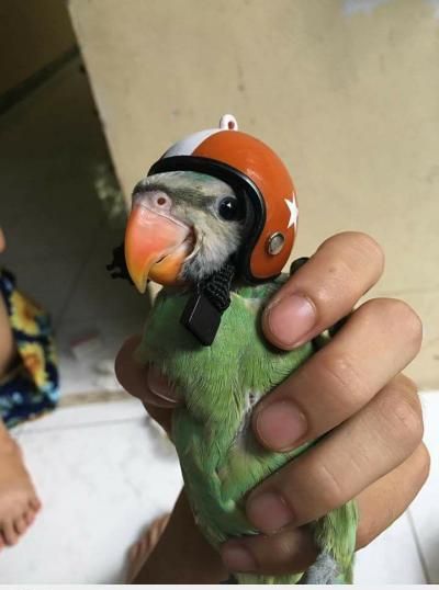  <3 <3   an toàn là trên hết!  =))  -  haivl | hài hước | hài vl  