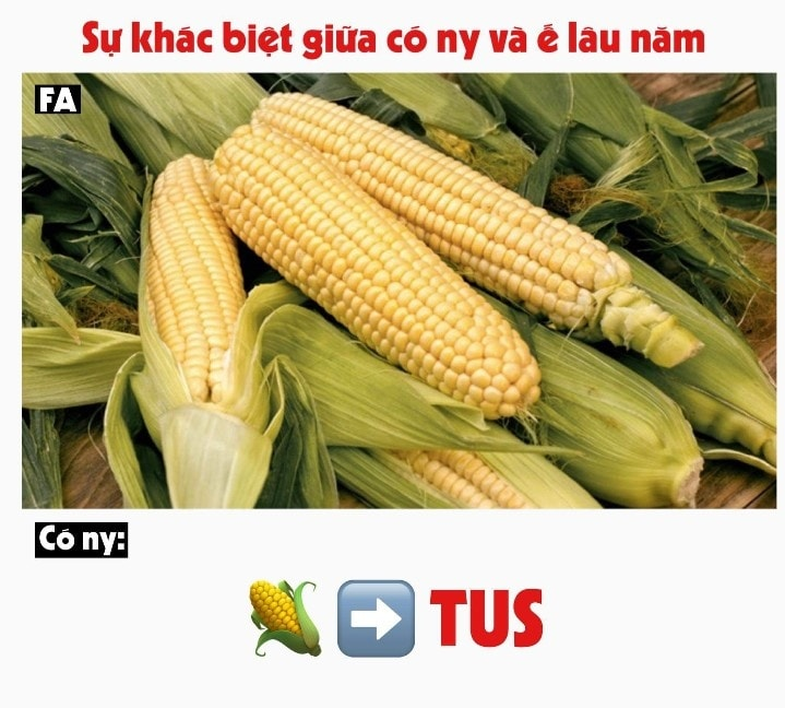Hiểu liền -  haivl | hài hước | hài vl  