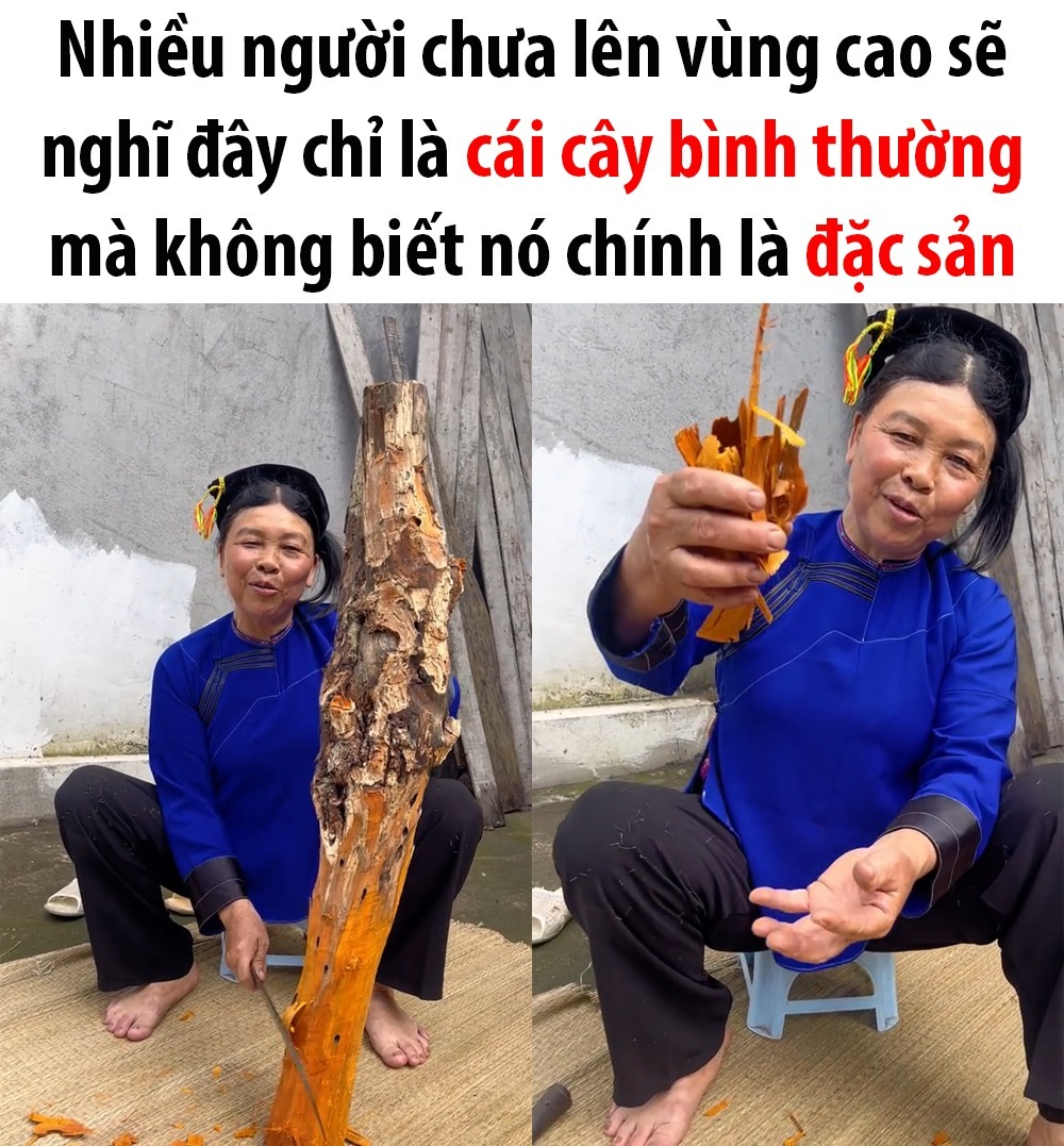 Thật... giờ mới biết luôn á -  haivl | hài hước | hài vl   