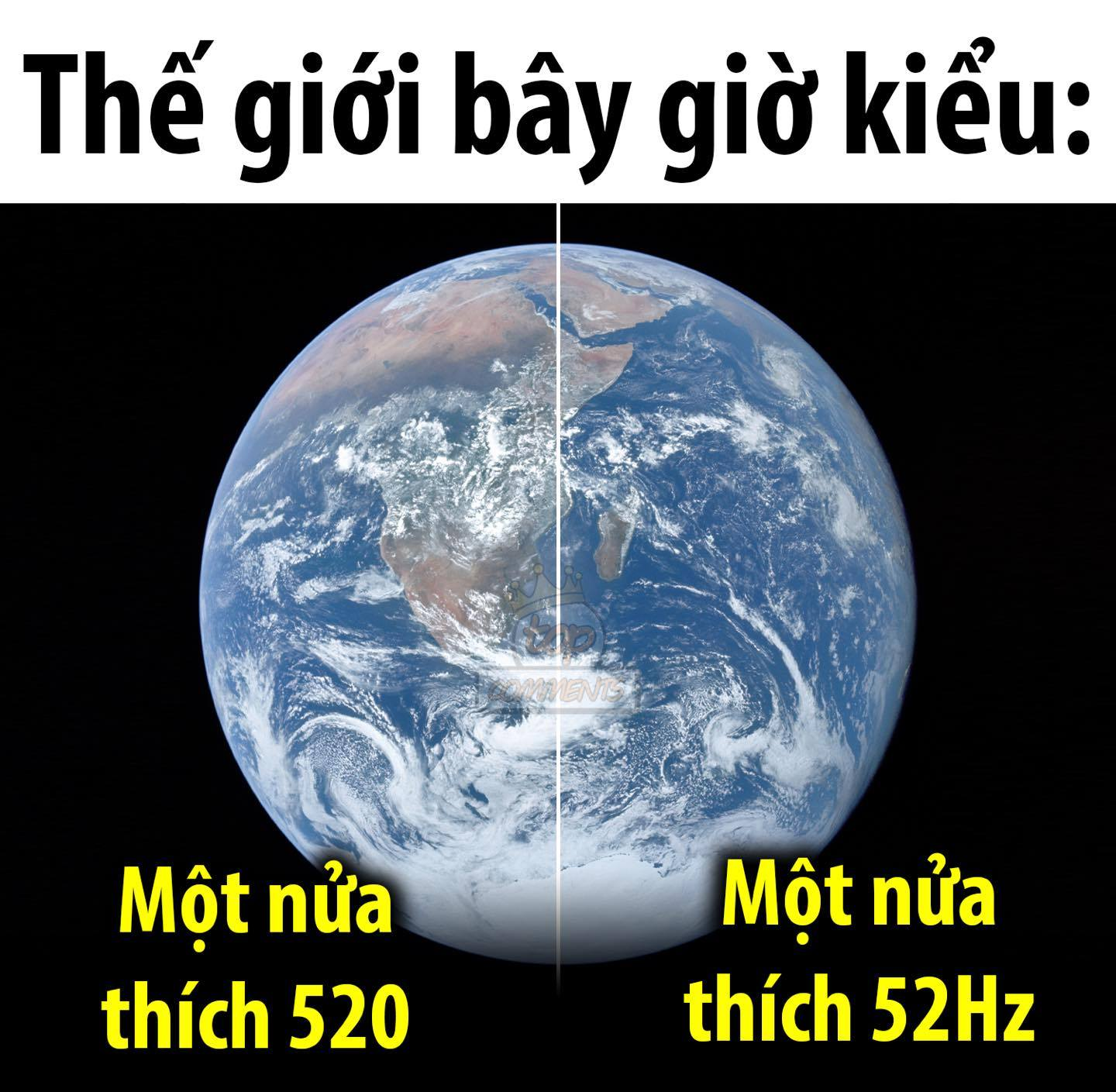 🥹🥹🥹 -  haivl | hài hước | hài vl  