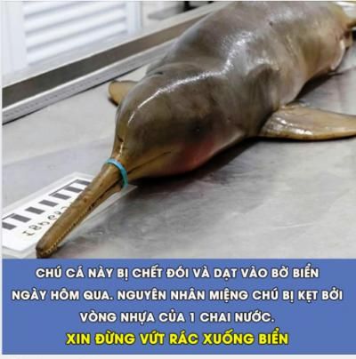  =))  xin đừng xả rác bừa bãi!  :x :x  -  haivl | hài hước | hài vl  