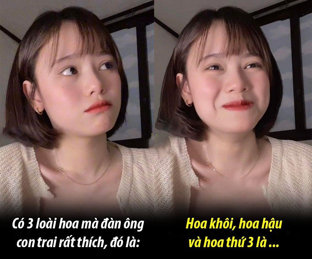 Hoa gì vậy nhỉ -  haivl | hài hước | hài vl  