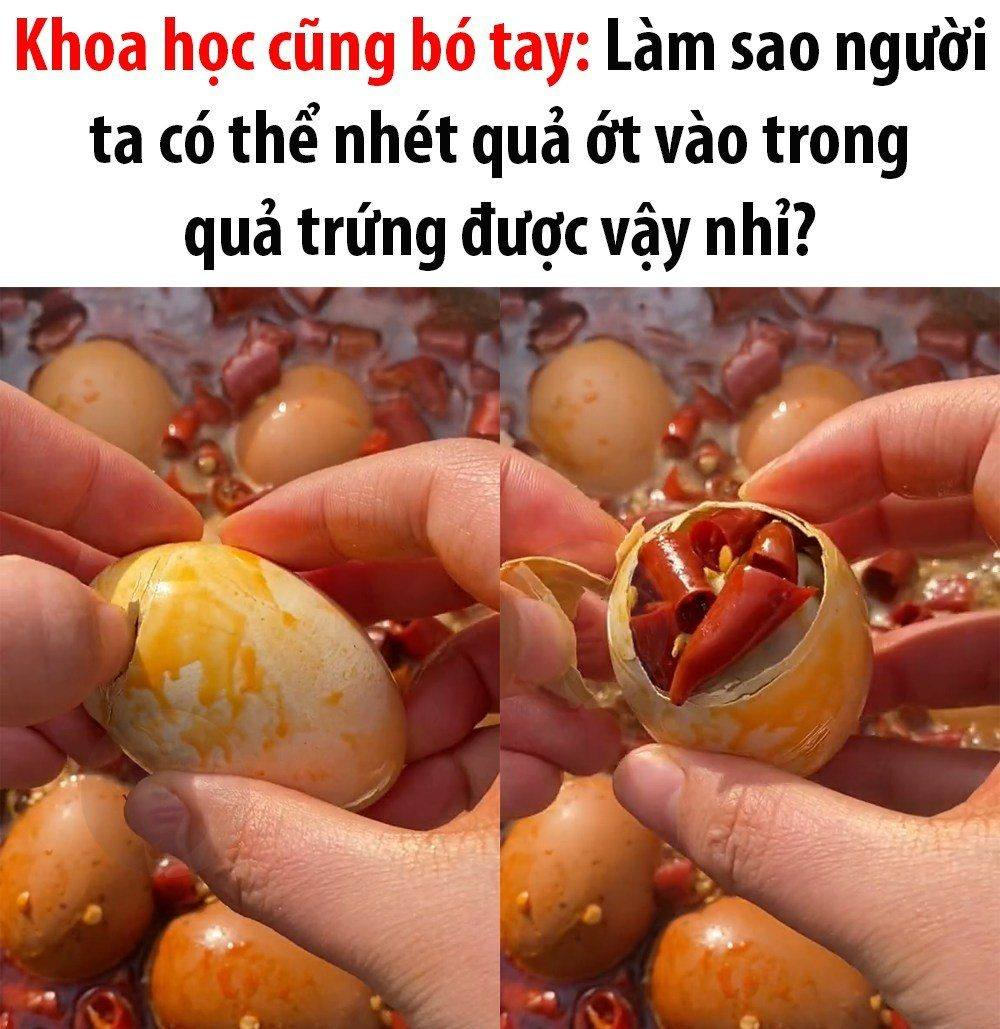 Sao có thể🤔 -  haivl | hài hước | hài vl  