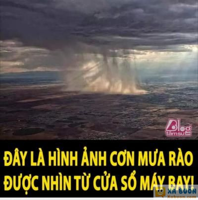  <3 <3   .  =))  -  haivl | hài hước | hài vl  