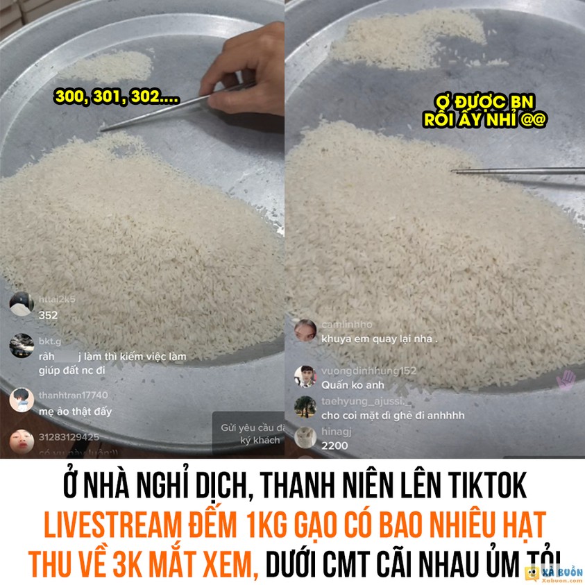 Dịch thì làm gì cho hết ngày :) -  haivl | hài hước | hài vl   