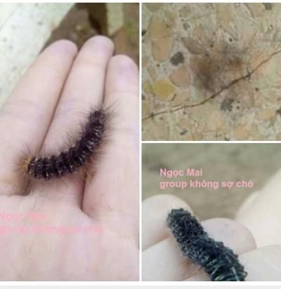  <3 <3   khi mức độ rảnh của bạn đạt đến trạng thái vô cực  =)) <3  
