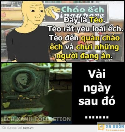  :3  hãy như tèo  :x :x  -  haivl | hài hước | hài vl  