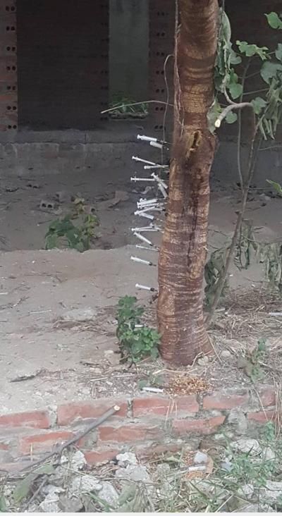  :x  cây này là cây gì mà mọc gai lạ vl!  :(  -  haivl | hài hước | hài vl 