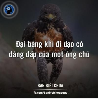  =))  nhìn ngầu quá !!!  :3  -  haivl | hài hước | hài vl   