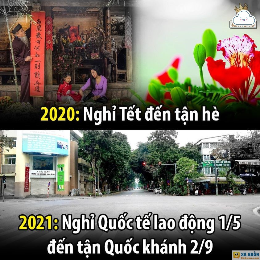 Và có thể là đến tết 2022 luôn -  haivl | hài hước | hài vl  