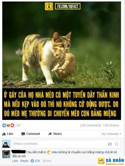  :x  ơ hợp lí phết nhỉ =)  :v  -  haivl | hài hước | hài vl   