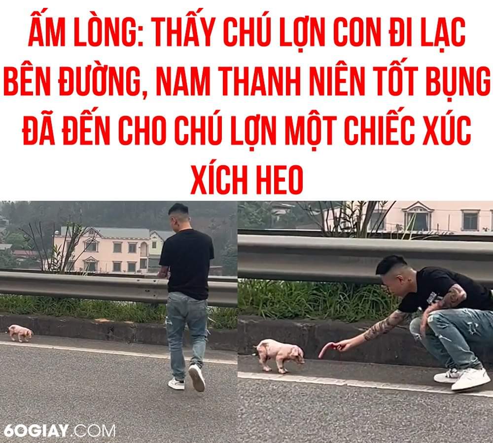 TẶNG CHÚ LỢN MỘT CHIẾC XÚC XÍCH HEO 🥲🥲 -  haivl | hài hước | hài vl 