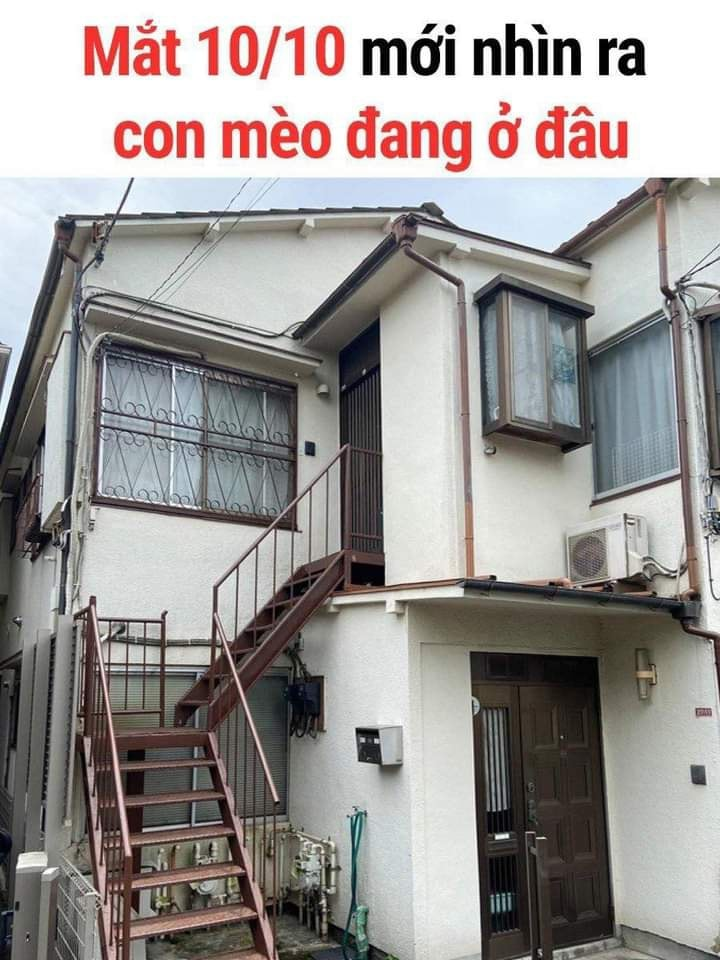 Tinh mắt lắm mới nhận ra 😂 -  haivl | hài hước | hài vl   