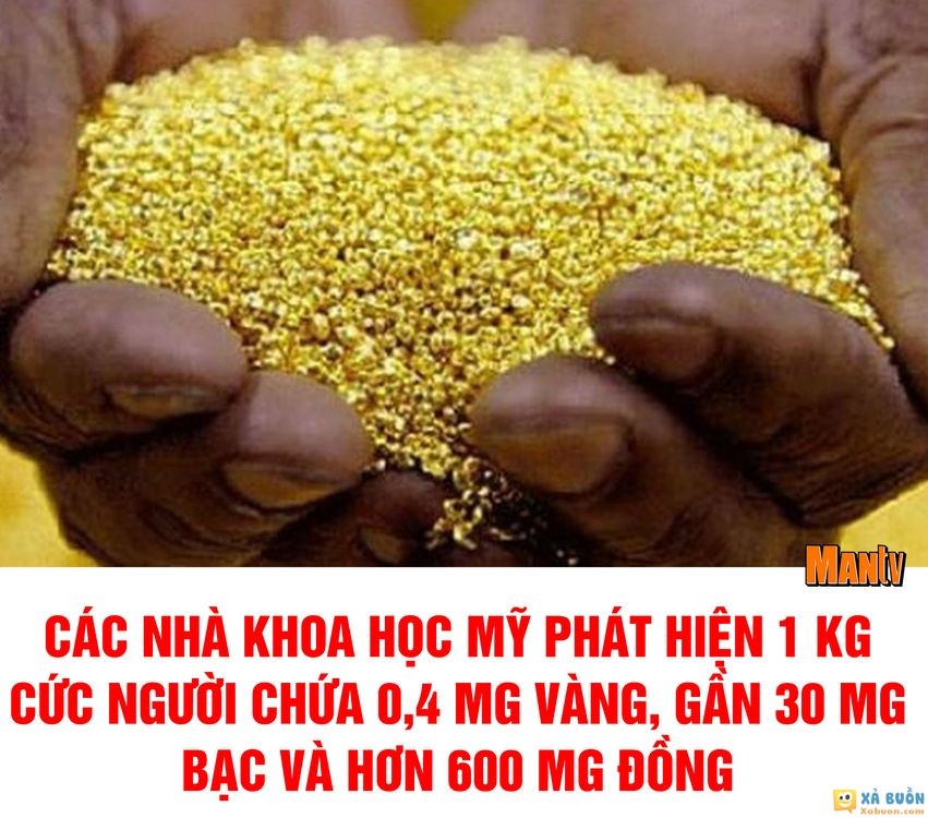 Ị ra vàng là có thật :) -  haivl | hài hước | hài vl   