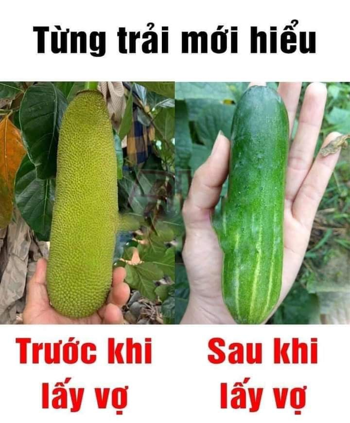 Dân chơi nhìn phát hiểu ngay -  haivl | hài hước | hài vl   