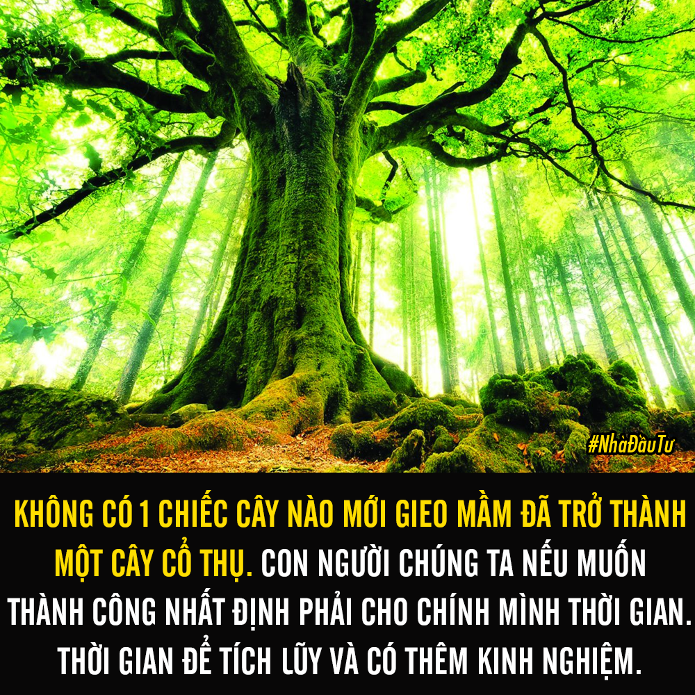 1. Điều kiện đầu tiên: Thời gian

Không có một chiếc cây nào mới gieo mầm đã trở thành một cây cổ thụ, mà nó phải trải qua rất nhiều năm tháng để sinh trưởng.
Con người chúng ta nếu muốn thành công nhất địnhXem thêm phải cho chính mình thời gian. Thời gian để tích lũy và có thêm kinh nghiệm.

2. Điều kiện thứ 2: Bất động

Không có một cây nào năm thứ nhất trồng ở nơi này, năm thứ 2 lại trồng ở nơi khác mà lại có thể trở thành một cây đại thụ.

Nhất định là phải sừng sững bất động trải hàng ngàn năm trong phong sương, mưa tuyết. Chính những kinh nghiệm qua vô số lần trong phong sương, mưa tuyết đó mà cuối cùng trở thành đại thụ.

Vậy nên, nếu muốn thành công, nhất định phải: ”Mặc cho gió táp mưa sa, ta… Xem thêm