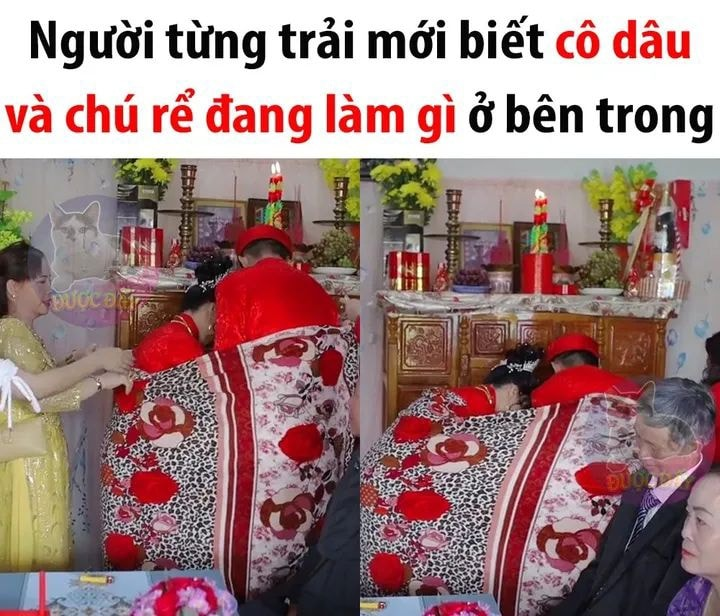 Không phải ai cũng hiểu 😌 -  haivl | hài hước | hài vl   