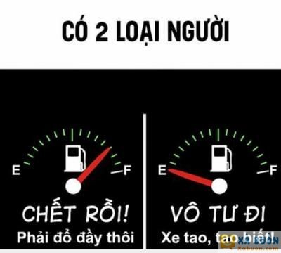  =))  có 2 loại người  =)) <3   -  haivl | hài hước | hài vl   