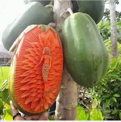  :x :x  phải nói là quá đỉnh  :x  -  haivl | hài hước | hài vl  