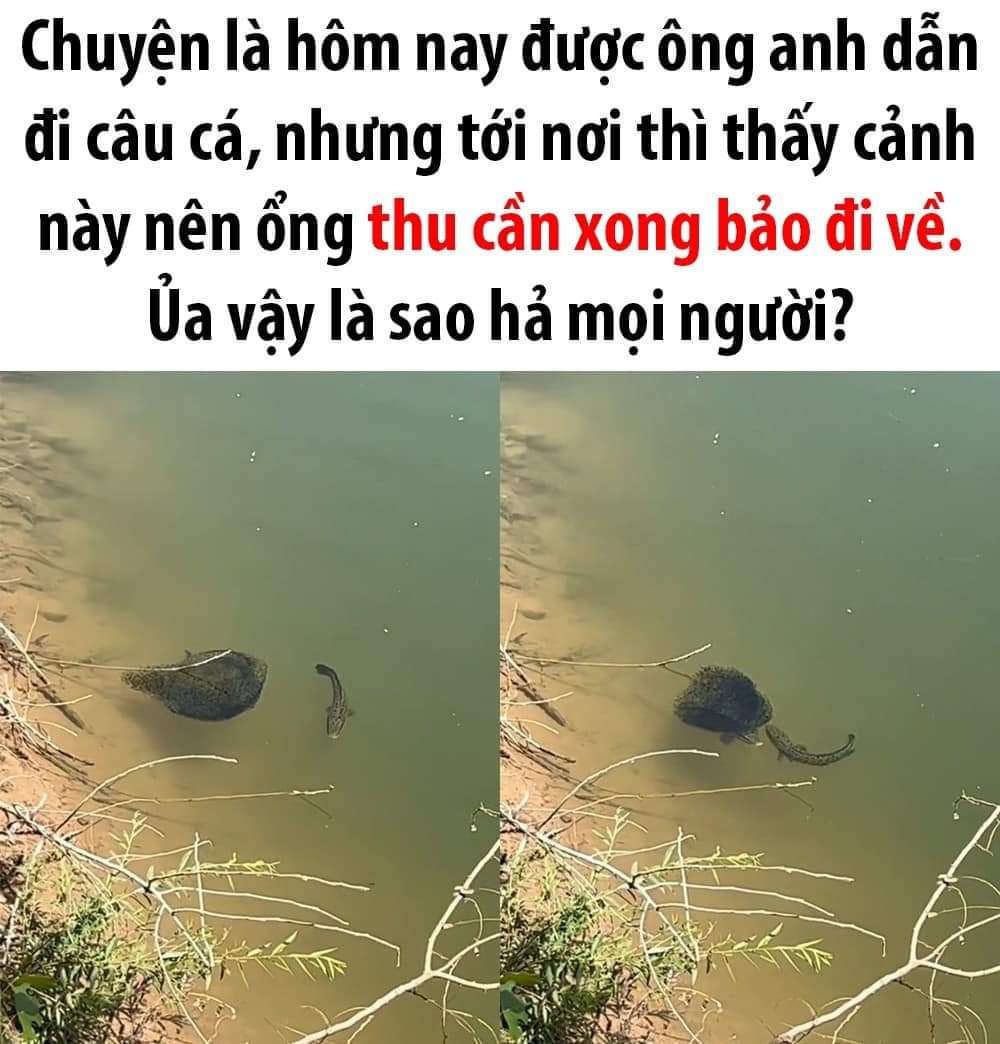 Ủa là sao ta ? -  haivl | hài hước | hài vl  