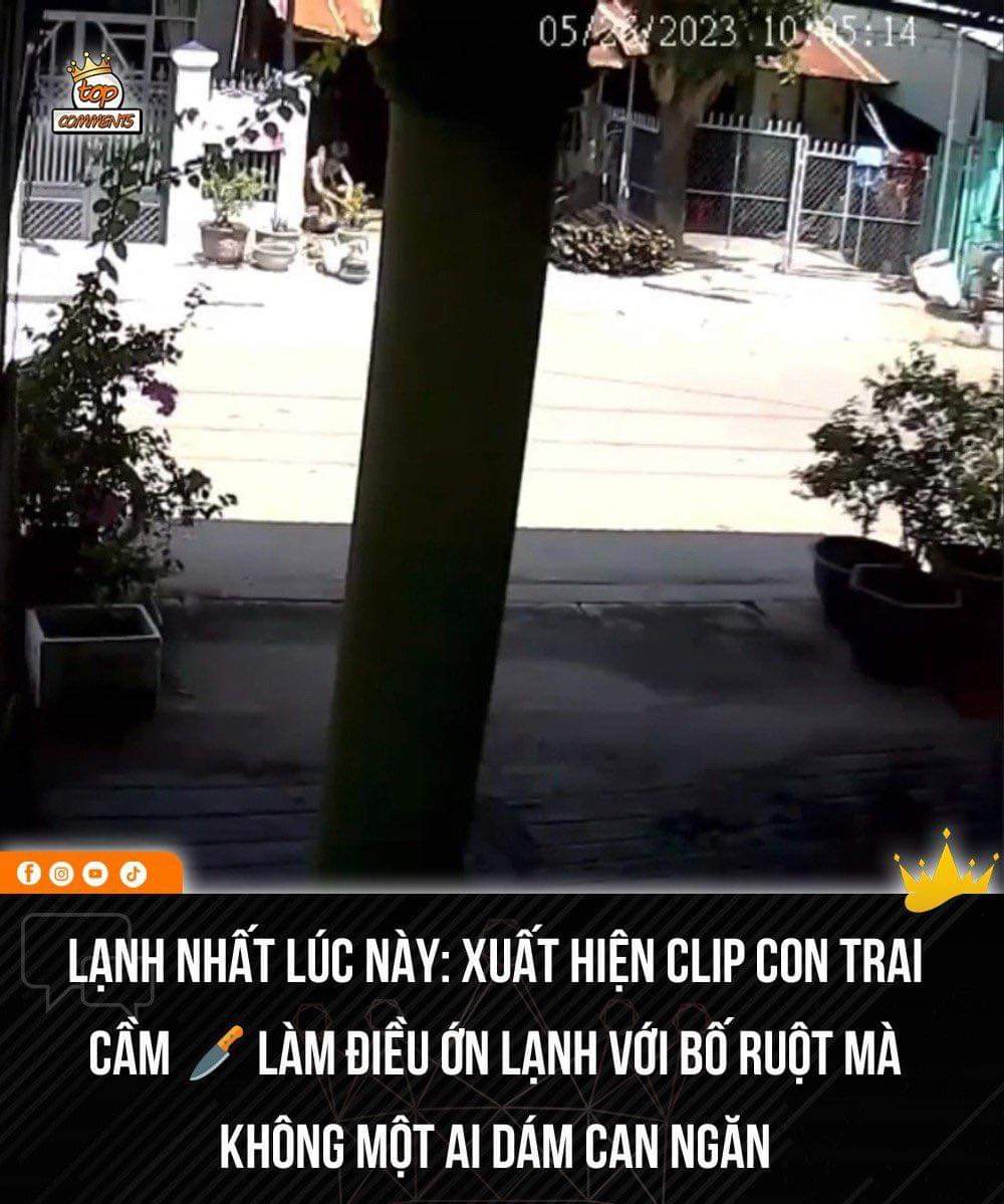 Gan hùm mới dám xem hết 🥶👇 -  haivl | hài hước | hài vl   