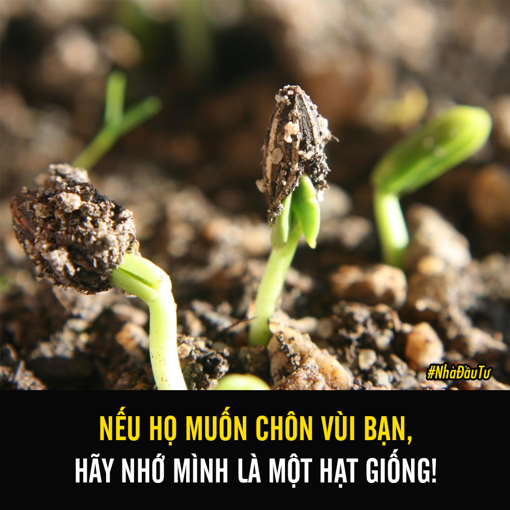 8 CÂU NÓI KHÍCH LỆ BẢN THÂN MỖI NGÀY

1. Hãy khát khao, hạnh phúc sẽ đến với bạn. Hãy ước mơ, cơ hội sẽ đến với bạn.

2. Nếu họ muốn chôn vùi bạn, bạn hãy nhớ mình là một hạt giống mà nảy mầm lên.

3. Bạn thấyXem thêm đấy, những ngày mà bạn từng nghĩ sẽ không vượt qua nổi, cuối cùng bạn cũng đã vượt qua.

4. Không biết bay thì chạy, không chạy được thì đi, đi không được thì bò. Đừng dừng lại. Hãy nhìn, hỏi, học và tiếp tục tiến lên.

5. Người không bao giờ mắc sai lầm là người không làm gì cả. Có sai thì có sửa!

6. Máy bay cất cánh cần lực đẩy ngược chiều gió, con người tiến lên cần chống lại nghịch cảnh.

7. Ta có thể rời núi bằng cách mang đi từng viên đá nhỏ. Dù thoạt nhìn chỉ là nỗ lực không đáng kể, nhưng bạn đang tiến bộ hơn mỗi ngày.

8. Cố gắng hay hối hận? Cái nào đau đớn hơn?

#nhadautu