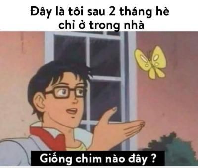  :d  tê điều :))  =))  -  haivl | hài hước | hài vl  