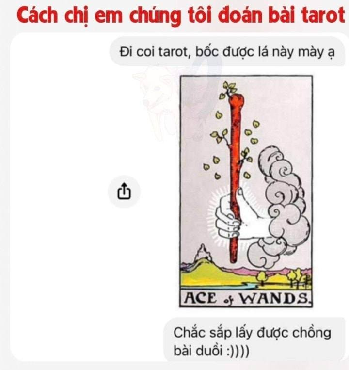Lạ he -  haivl | hài hước | haiivl| bigo viet 