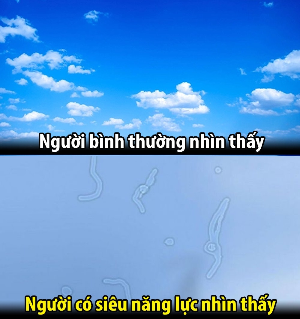 Thì ra mình có siêu năng lực :v -  haivl | hài hước | hài vl   