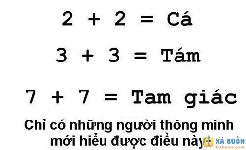 Chỉ những người thông minh mới hiểu được điều này Chỉ những người thông minh mới hiểu được điều này