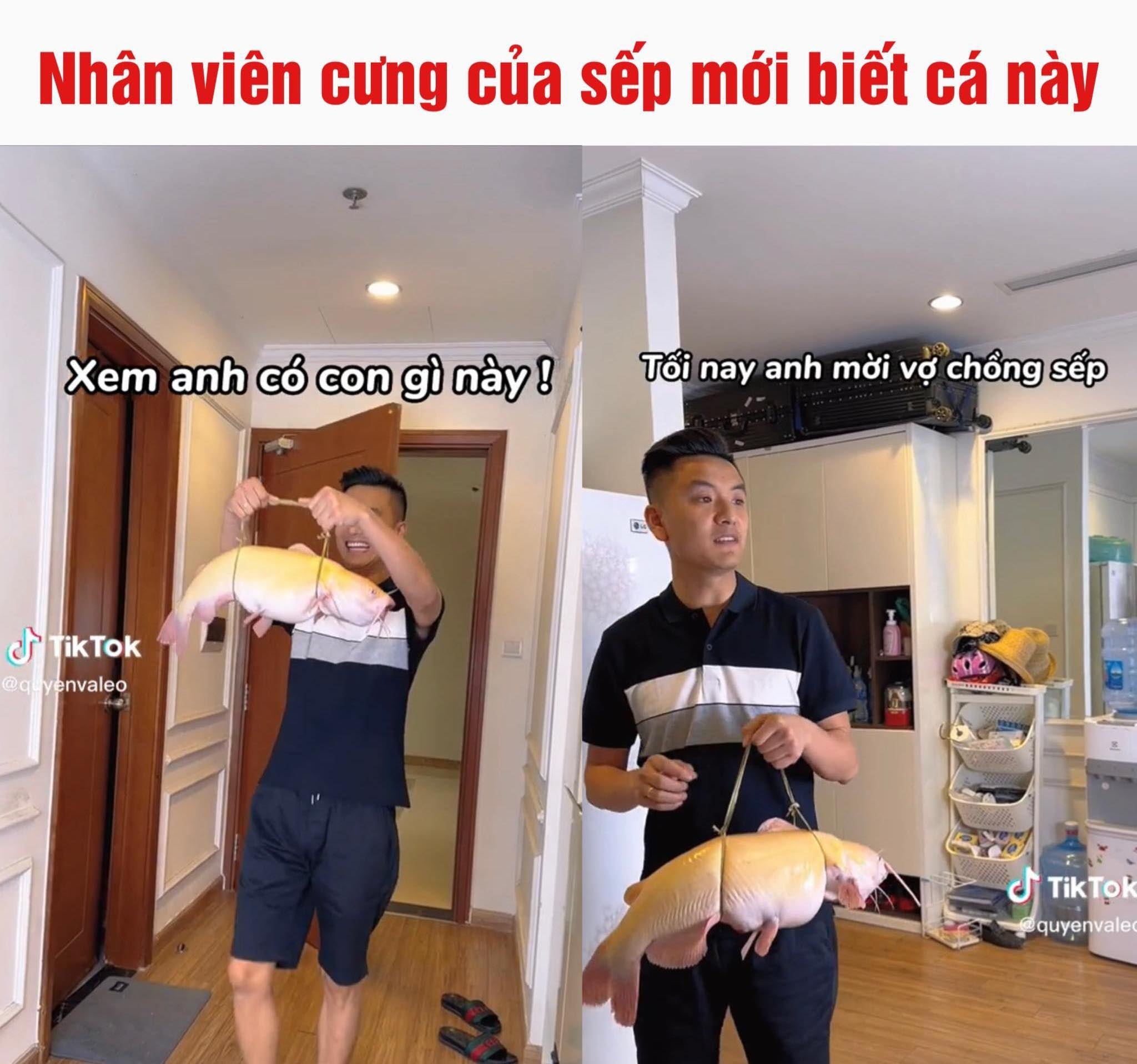 Hiểu liền -  haivl | hài hước | hài vl  