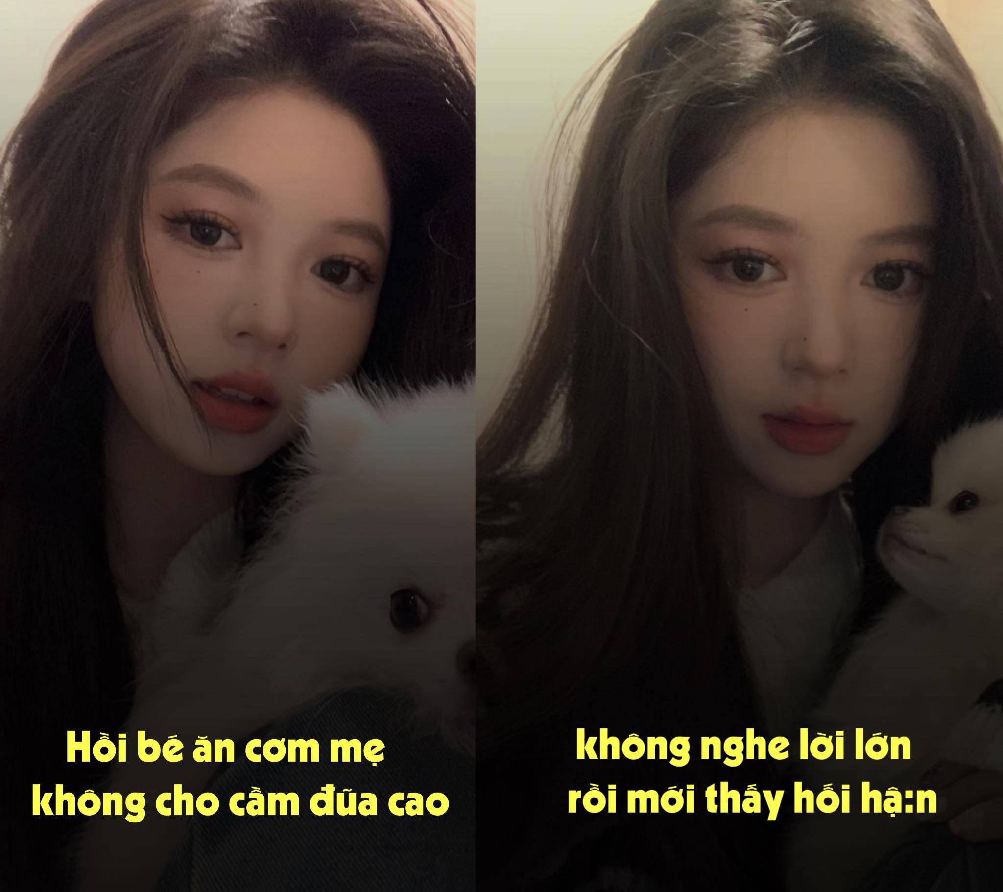 Tại sao nhỉ? -  haivl | hài hước | hài vl  