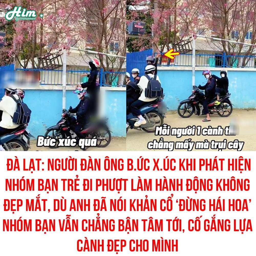 MỖI NGƯỜI HÁI 1 CÀNH THÌ MẤY MÀ TR.ỤI CÂY 😕

Mới đây, tài khoản M.D.N đã đăng tải lên mạng xã hội khi phát hiện được một cây đào đẹp mắt tại Đà Lạt, đang định đứng lại chụp ảnh thì thấy nhóm bạn trẻ đi phượtXem thêm đang làm hành động không đẹp mắt.

Họ không chỉ b.ẻ cây mà còn cố tình bỏ qua lời nhắc nhở của người dân xung quanh. Dù người đàn ông đã khản cổ nói 