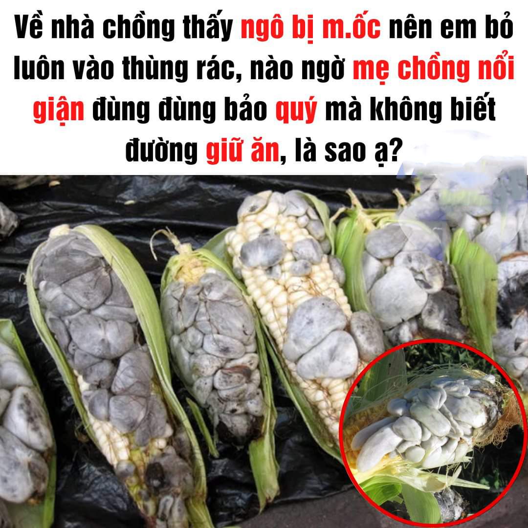 Mới ngày đầu mà đã h.oang m.ang l.ạc lối -  haivl | hài hước | hài vl 