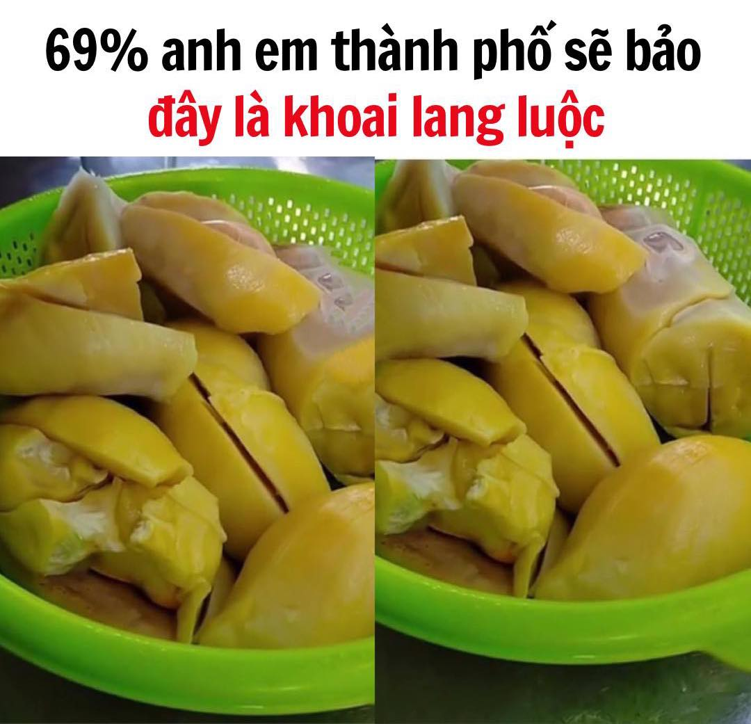 Yah sure chắc chắn là như vậy rồi =))))) -  haivl | hài hước | hài vl 