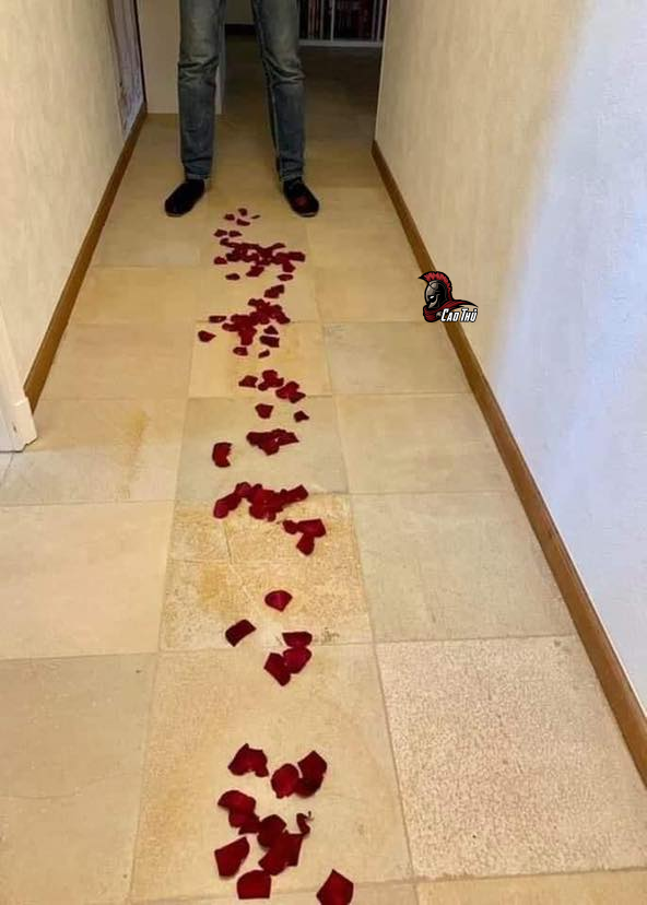 Gợi ý quà Valentine khiến chị em g.ục ng.ã: -  haivl | hài hước | hài vl 