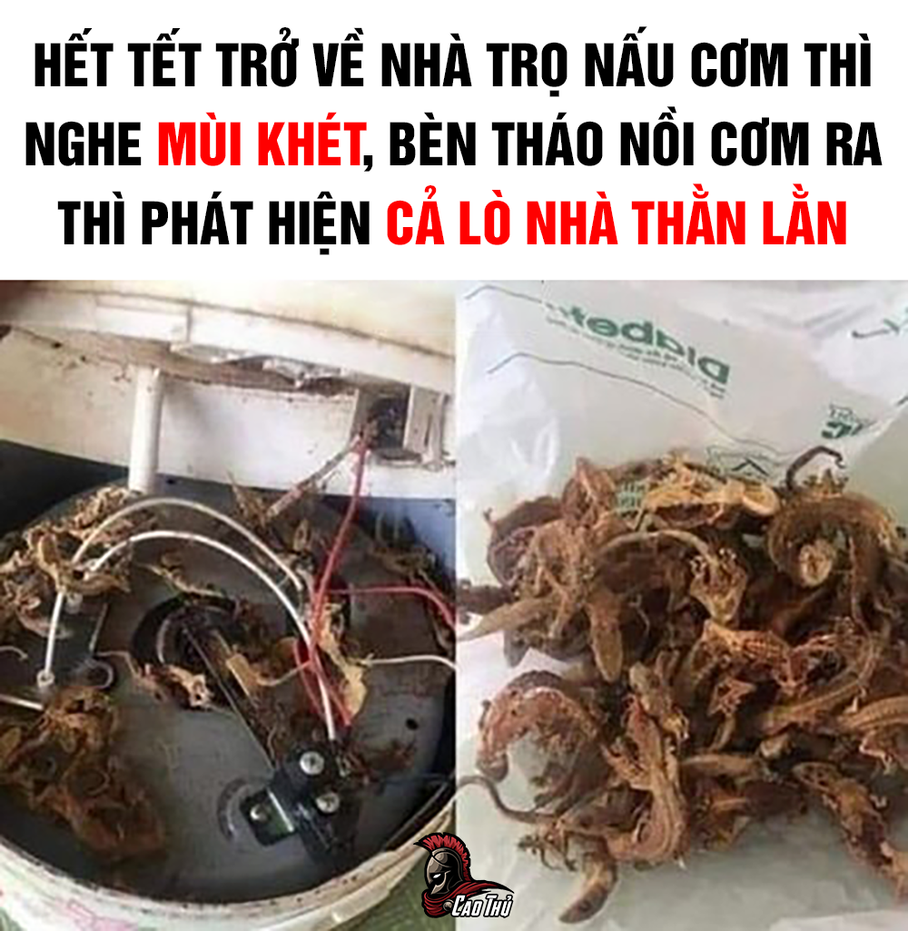 Tự nhiên có đồ nhậu =)) -  haivl | hài hước | hài vl   