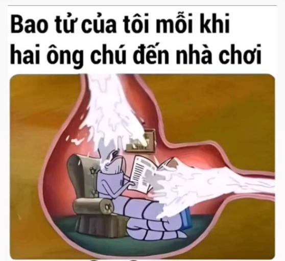 Hiểu liền -  haivl | hài hước | hài vl  