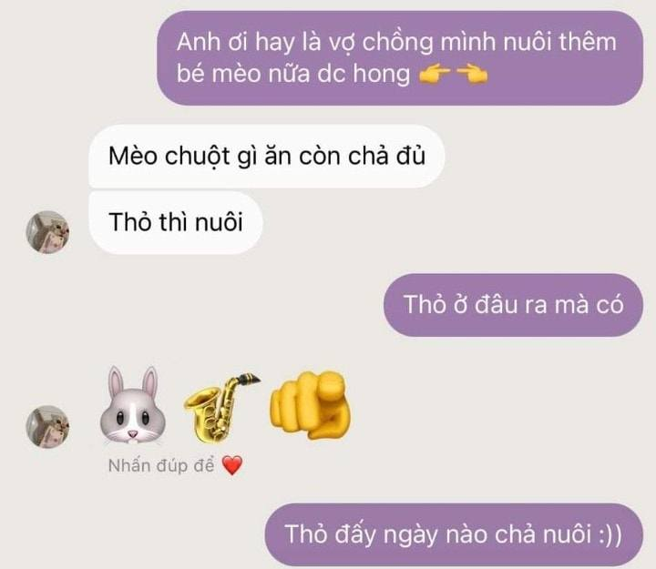 Thỏ gì lạ thế -  haivl | hài hước | hài vl   