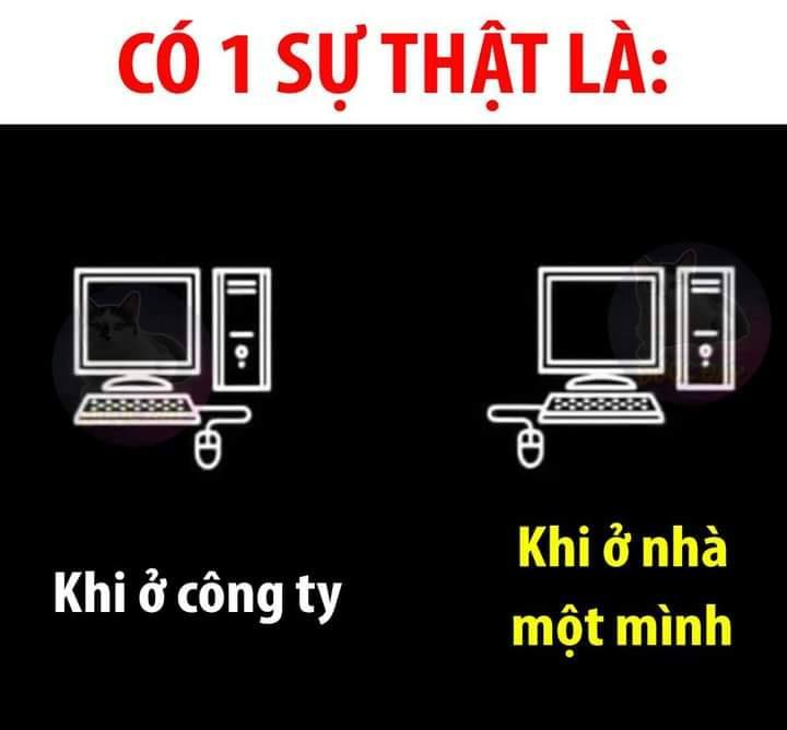 Lại bảo sai đi :v -  haivl | hài hước | hài vl  
