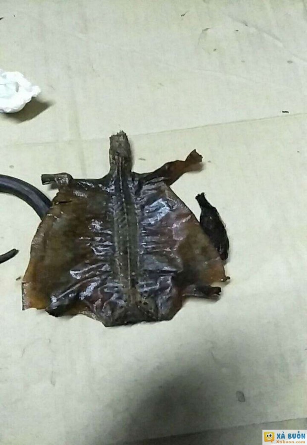 Uống bình rượu 7 năm mới phát hiện đồ ngâm bên trong bằng nhựa :) Uống bình rượu 7 năm mới phát hiện đồ ngâm bên trong bằng nhựa :)