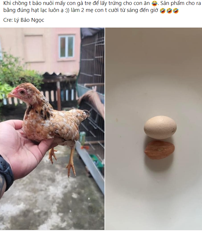 Chắc t chớt :) -  haivl | hài hước | hài vl  