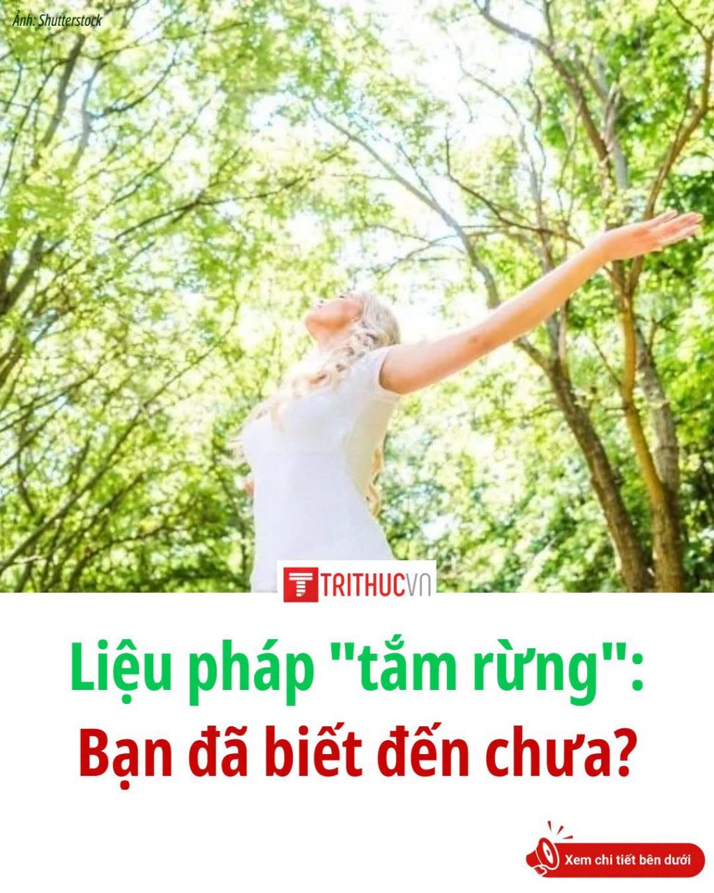 Năm 1982, người Nhật đặt ra thuật ngữ Shinrin-yoku (nghĩa đen là 