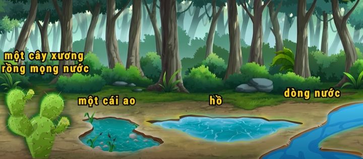 Đối vui: Câu đố sinh tồn: Nguồn nước nào có thể uống được?
