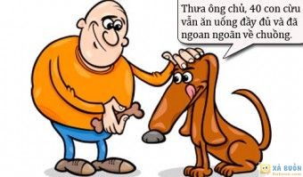 Truyện cười: Chú Chó Chăn Cừu Thông Minh - haivl | hài hước | hài vl Truyện cười: Chú Chó Chăn Cừu Thông Minh - haivl | hài hước | hài vl